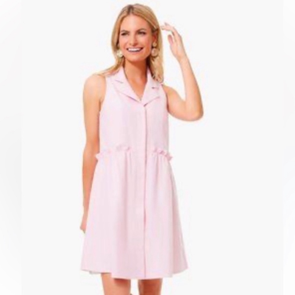 Pink oxford Tuckernuck shift dress.